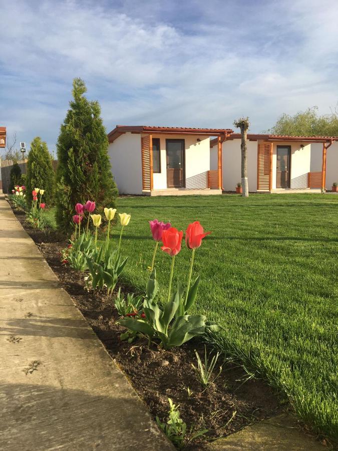 Casa Ivana Murighiol Kültér fotó